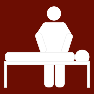 Licenciatura en Fisioterapia y Terapia Ocupacional